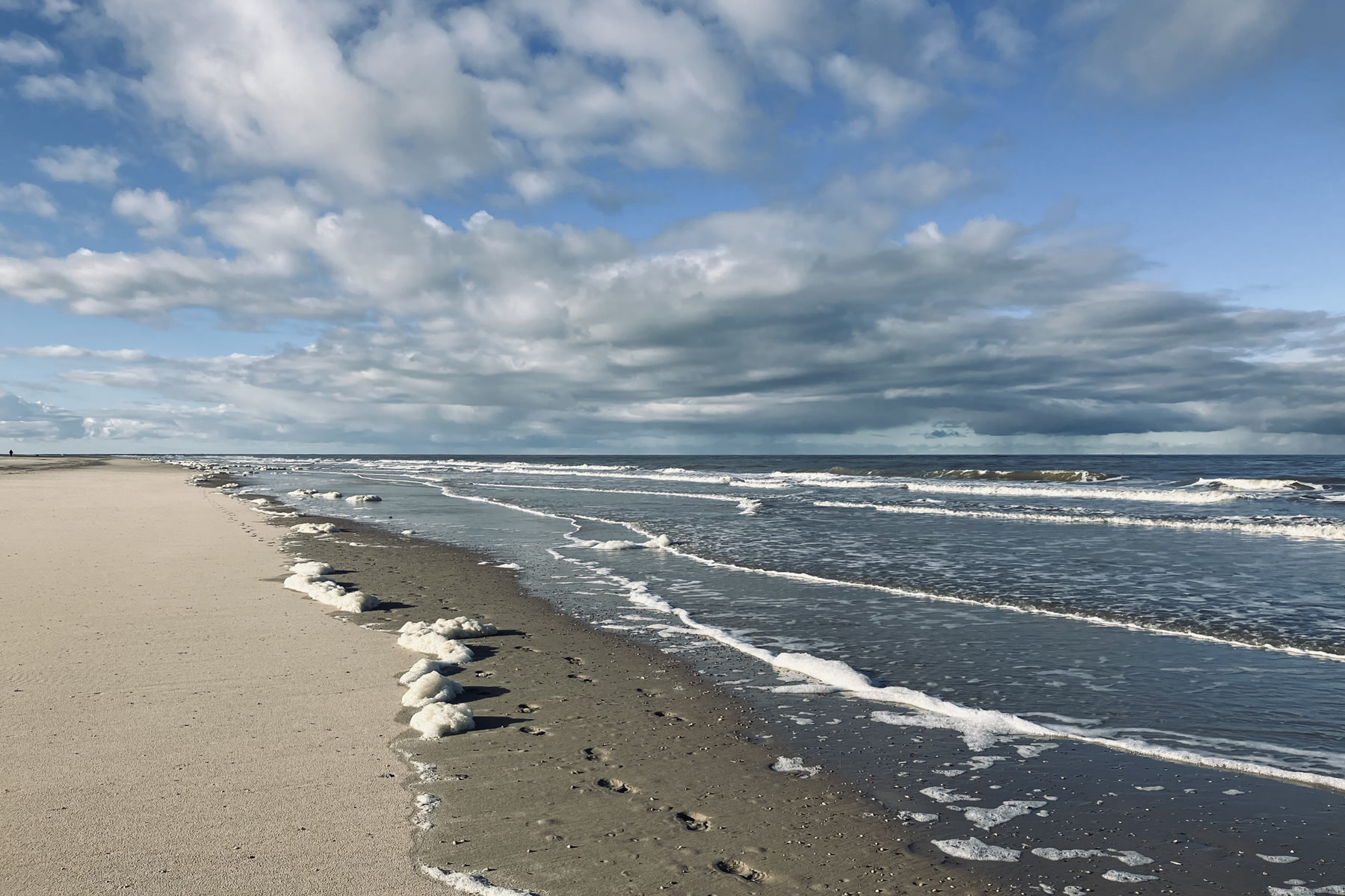 Referenz Theaterpädagogische Werkstatt